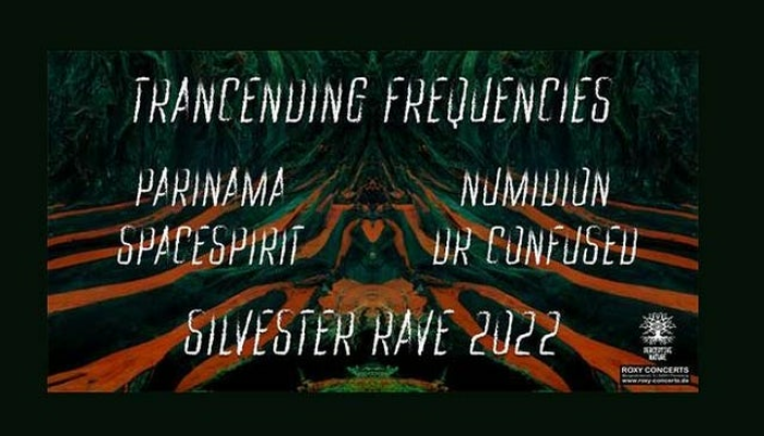 Trancending Frequenices - Sylvester Rave 2022