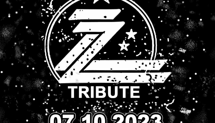 ZZ Tribute – The Best Of ZZ Top