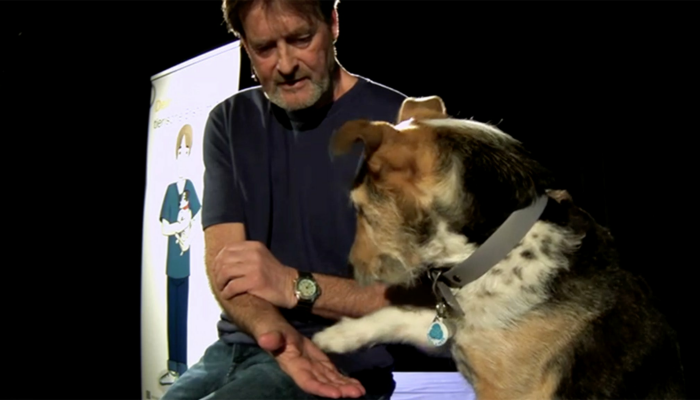 DocStefan - Tierische erste Hilfe für Hunde- und Katzenbesitzer